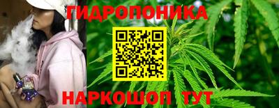 кокс Новодвинск